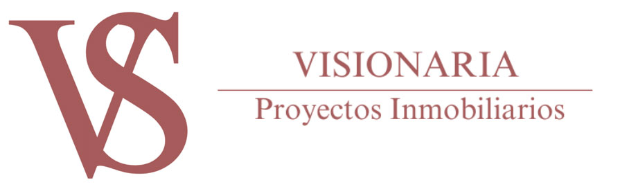 Visionaria Gestión Logo